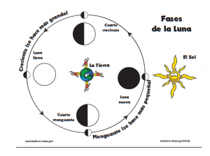 Fases de la luna