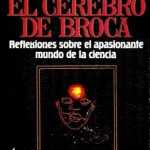 El-cerebro-de-broca