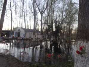 Altar de Gilda en Paranacito (Entre Rios)